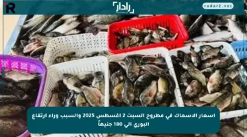 أسعار الأسماك في مطروح السبت 2 أغسطس 2025 والسبب وراء ارتفاع البوري إلى 180 جنيهاً